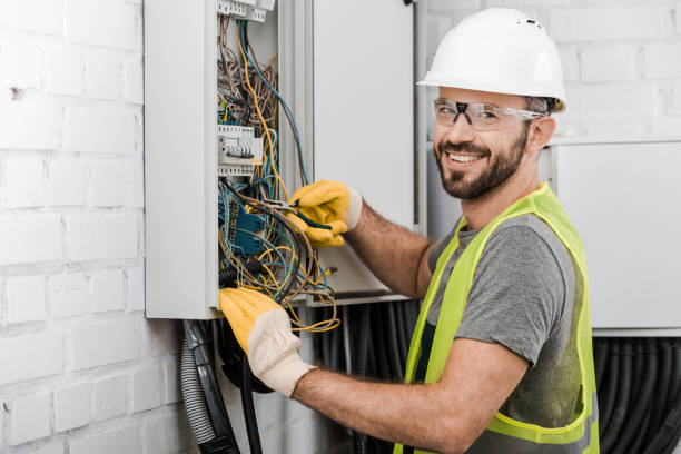 Best Local Electrician Companies  in Holualoa, HI